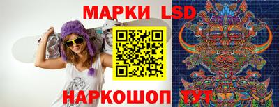 a pvp Краснознаменск