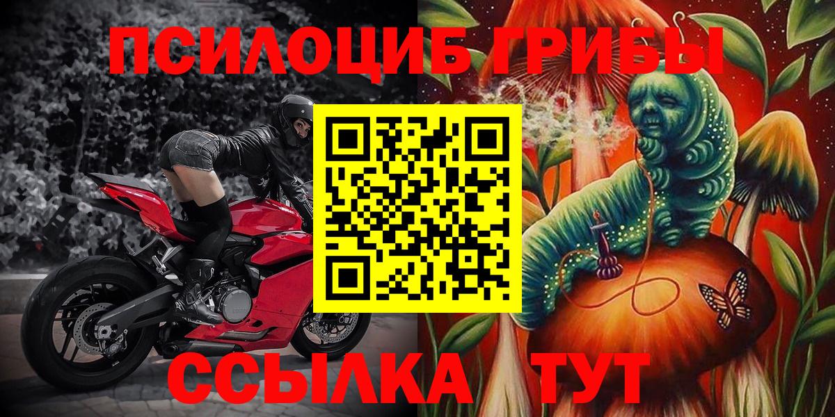 Чебаркуль  Галлюциногенные грибы мицелий  Псилоцибиновые грибы прущие грибы  Вход с VPN 